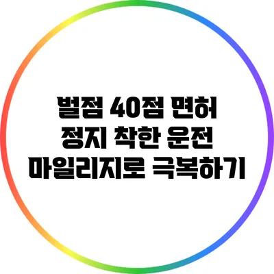 벌점 40점 면허 정지? 착한 운전 마일리지로 극복하기