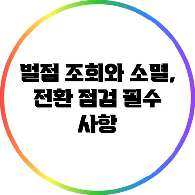 벌점 조회와 소멸, 전환 점검 필수 사항