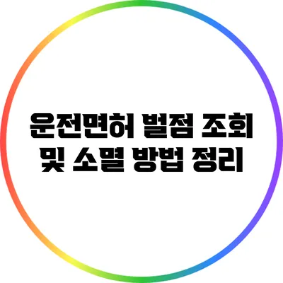 운전면허 벌점 조회 및 소멸 방법 정리