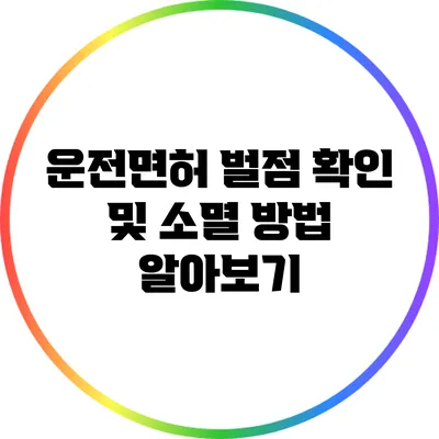 운전면허 벌점 확인 및 소멸 방법 알아보기