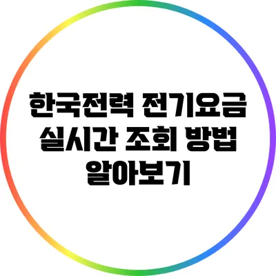 한국전력 전기요금 실시간 조회 방법 알아보기