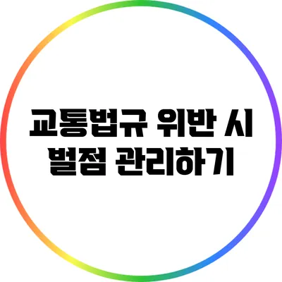 교통법규 위반 시 벌점 관리하기