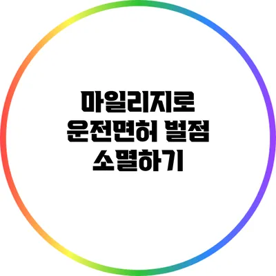 마일리지로 운전면허 벌점 소멸하기