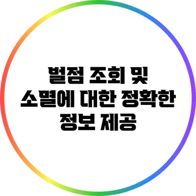 벌점 조회 및 소멸에 대한 정확한 정보 제공