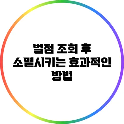 벌점 조회 후 소멸시키는 효과적인 방법