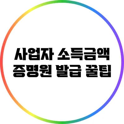 사업자 소득금액 증명원 발급 꿀팁