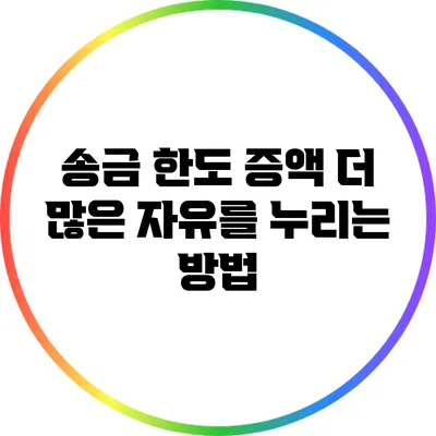 송금 한도 증액: 더 많은 자유를 누리는 방법