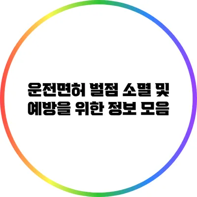 운전면허 벌점 소멸 및 예방을 위한 정보 모음