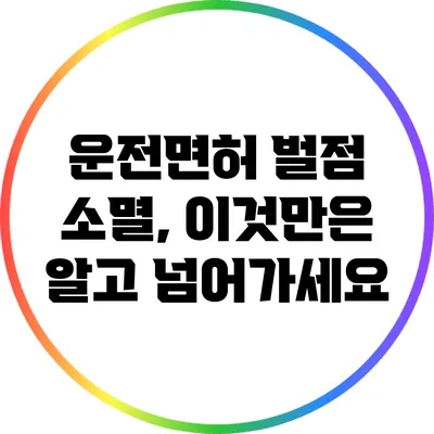 운전면허 벌점 소멸, 이것만은 알고 넘어가세요