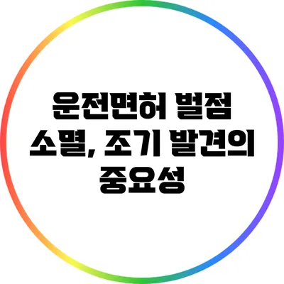 운전면허 벌점 소멸, 조기 발견의 중요성