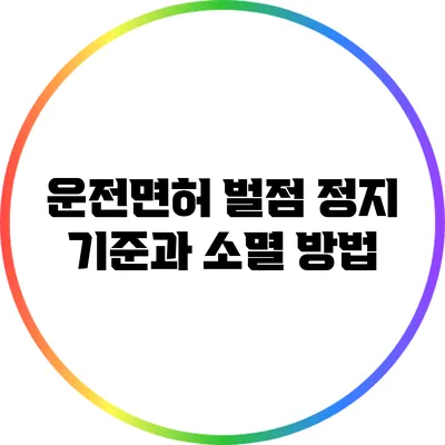 운전면허 벌점 정지 기준과 소멸 방법