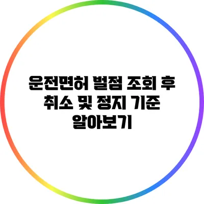 운전면허 벌점 조회 후 취소 및 정지 기준 알아보기