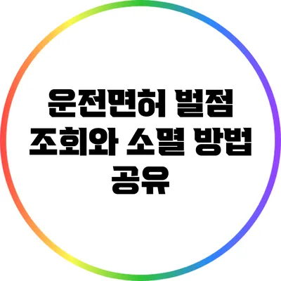 운전면허 벌점 조회와 소멸 방법 공유