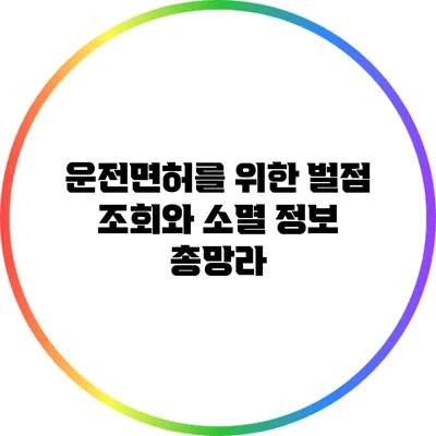 운전면허를 위한 벌점 조회와 소멸 정보 총망라