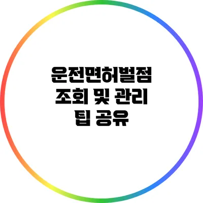 운전면허벌점 조회 및 관리 팁 공유