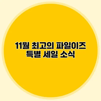 11월 최고의 파일이즈 특별 세일 소식