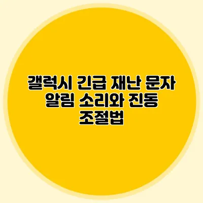 갤럭시 긴급 재난 문자 알림 소리와 진동 조절법