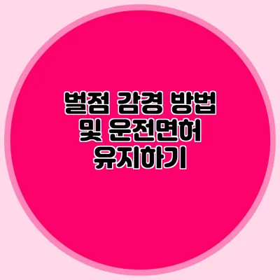 벌점 감경 방법 및 운전면허 유지하기