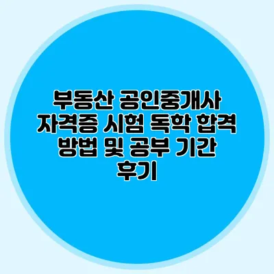 부동산 공인중개사 자격증 시험 독학 합격 방법 및 공부 기간 후기