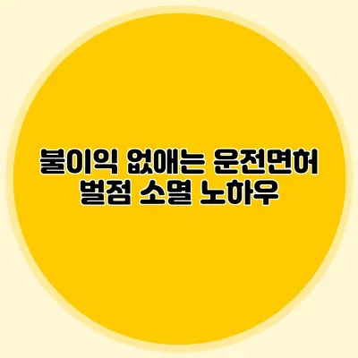 불이익 없애는 운전면허 벌점 소멸 노하우