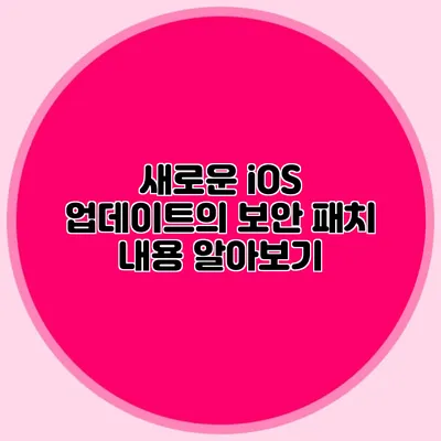 새로운 iOS 업데이트의 보안 패치 내용 알아보기