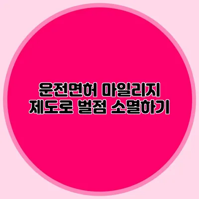 운전면허 마일리지 제도로 벌점 소멸하기