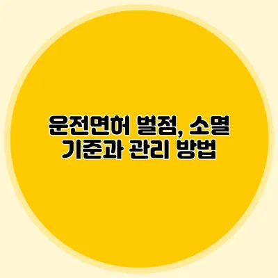 운전면허 벌점, 소멸 기준과 관리 방법