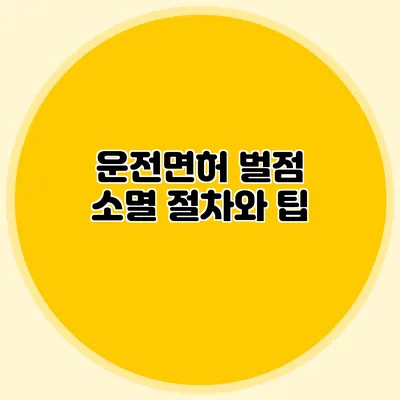 운전면허 벌점 소멸 절차와 팁