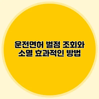 운전면허 벌점 조회와 소멸 효과적인 방법
