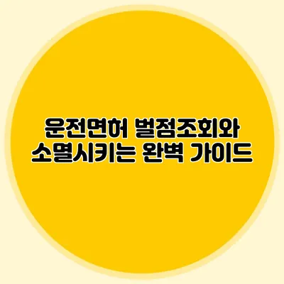 운전면허 벌점조회와 소멸시키는 완벽 가이드