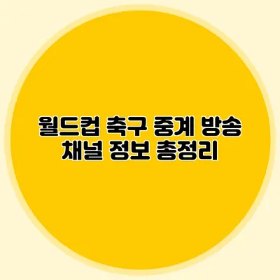 월드컵 축구 중계 방송 채널 정보 총정리