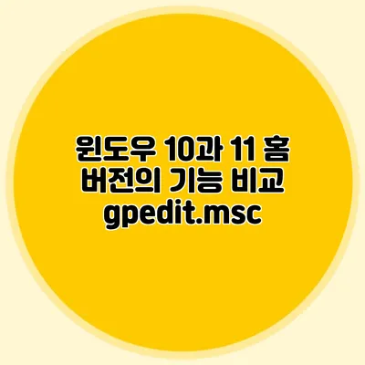 윈도우 10과 11 홈 버전의 기능 비교: gpedit.msc
