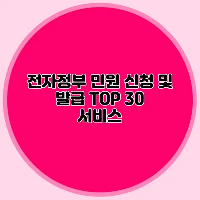 전자정부 민원 신청 및 발급 TOP 30 서비스