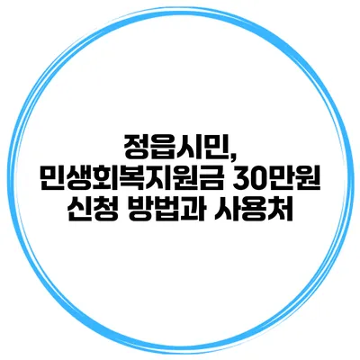 정읍시민, 민생회복지원금 30만원 신청 방법과 사용처