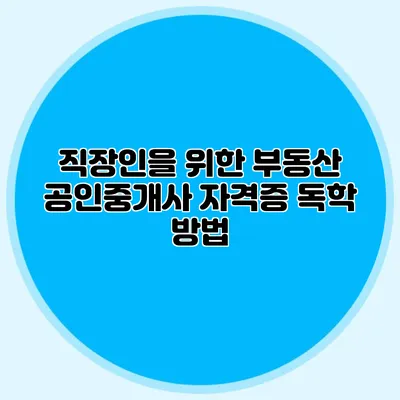 직장인을 위한 부동산 공인중개사 자격증 독학 방법