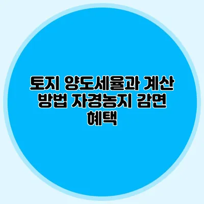 토지 양도세율과 계산 방법 자경농지 감면 혜택