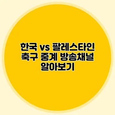 한국 vs 팔레스타인 축구 중계 방송채널 알아보기