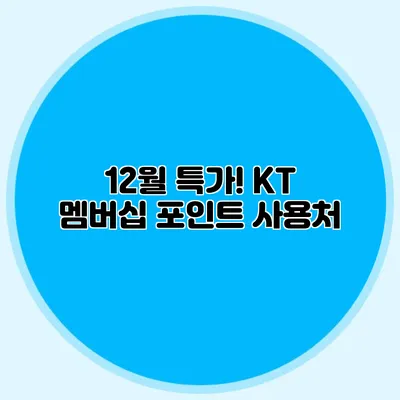 12월 특가! KT 멤버십 포인트 사용처