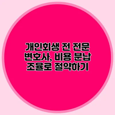 개인회생 전 전문 변호사, 비용 분납 조율로 절약하기