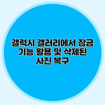 갤럭시 갤러리에서 잠금 기능 활용 및 삭제된 사진 복구