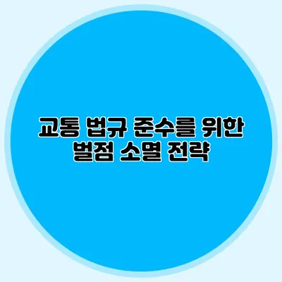 교통 법규 준수를 위한 벌점 소멸 전략