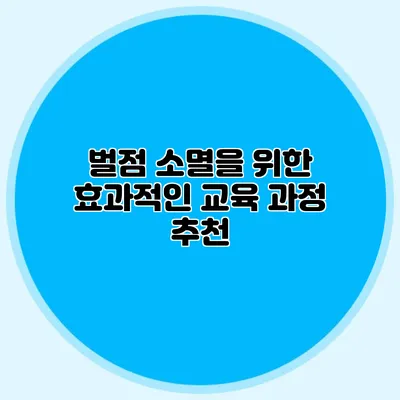 벌점 소멸을 위한 효과적인 교육 과정 추천