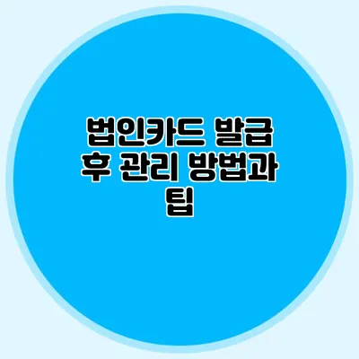 법인카드 발급 후 관리 방법과 팁