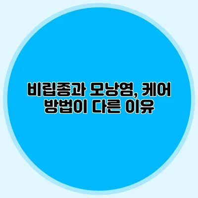 비립종과 모낭염, 케어 방법이 다른 이유