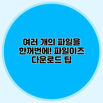 여러 개의 파일을 한꺼번에! 파일이즈 다운로드 팁