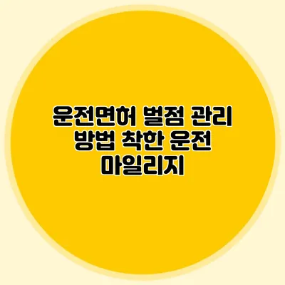 운전면허 벌점 관리 방법 착한 운전 마일리지
