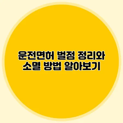 운전면허 벌점 정리와 소멸 방법 알아보기