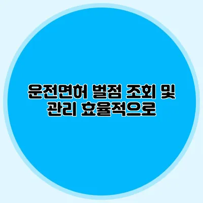 운전면허 벌점 조회 및 관리 효율적으로