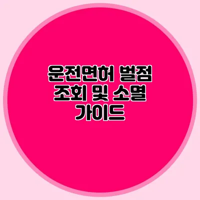운전면허 벌점 조회 및 소멸 가이드