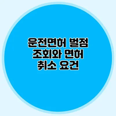 운전면허 벌점 조회와 면허 취소 요건
